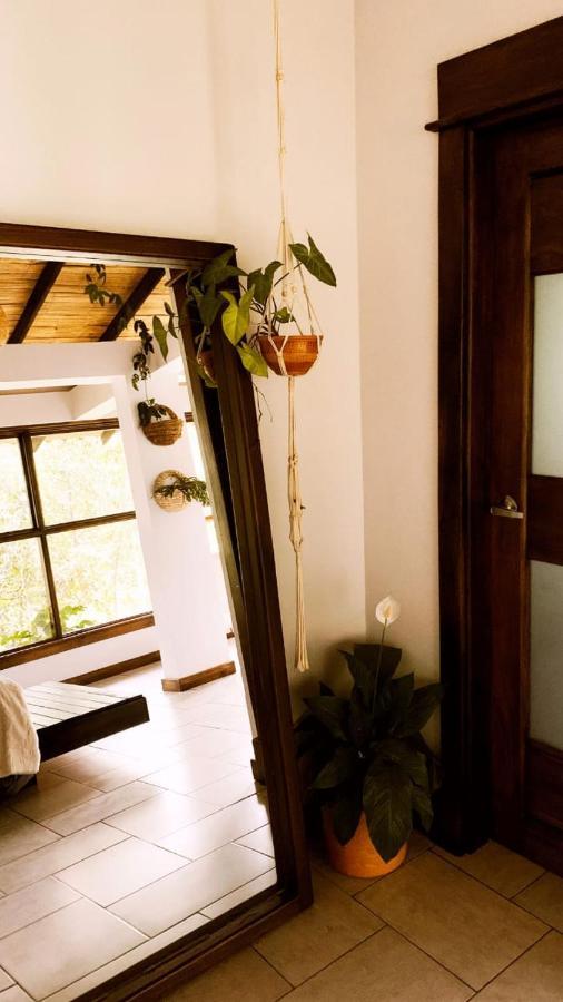 Casa Nativo Villa Jardin Bagian luar foto